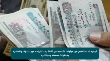 كيفية الاستعلام عن مرتبات أغسطس 2025 بعد الزيادة عبر البنوك والمالية بخطوات سهلة ومباشرة